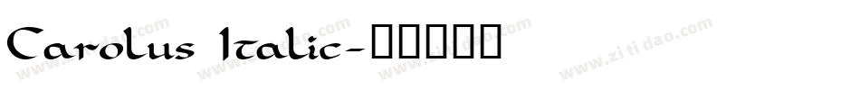 Carolus Italic字体转换
